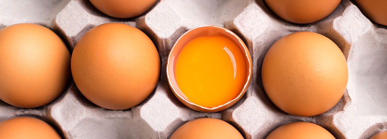 Egg Allergy | Annabel Karmel