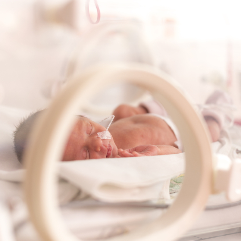 Weaning premature babies by Annabel Karmel