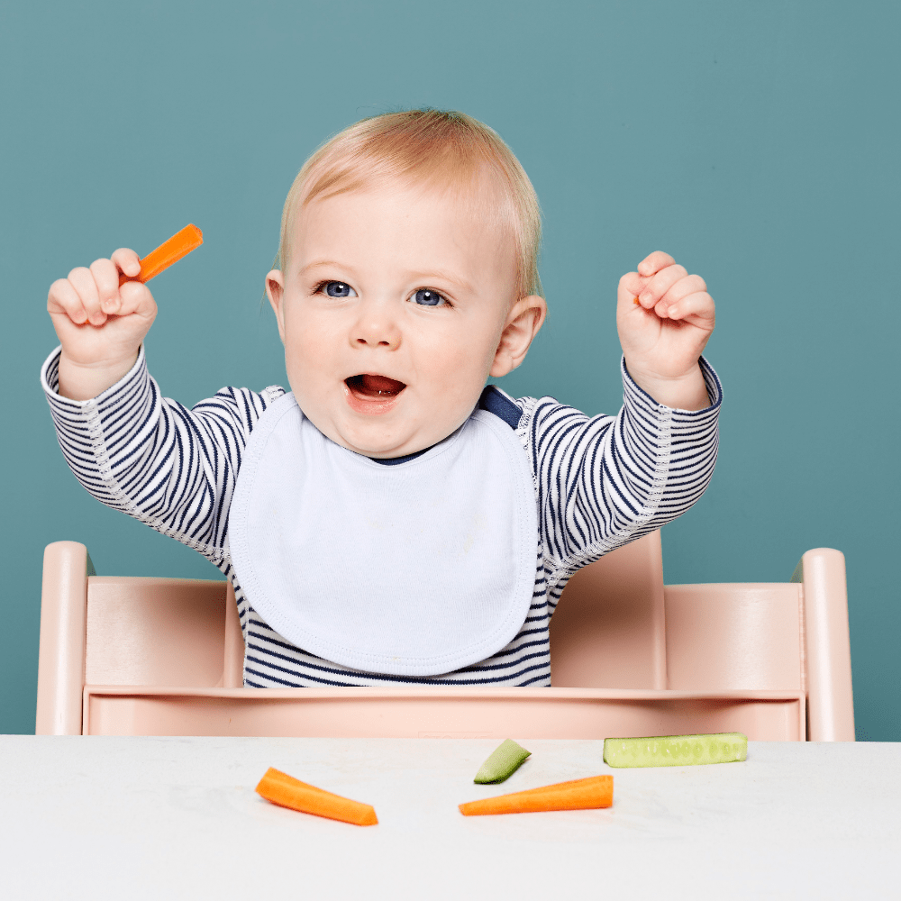 Weaning Equipment - Getting your kitchen ready by Annabel Karmel